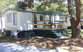 Dalmacija Camp